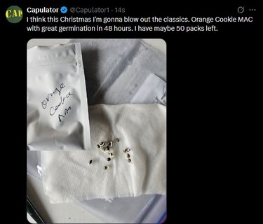 Screenshot_27-10-2025_201918_x.com.jpeg