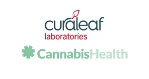 Cash-Companies-Cannabis-21-300x160.webp