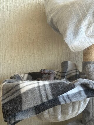 IMG_0278.jpeg