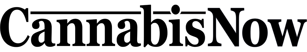 Cannabis Now Logo