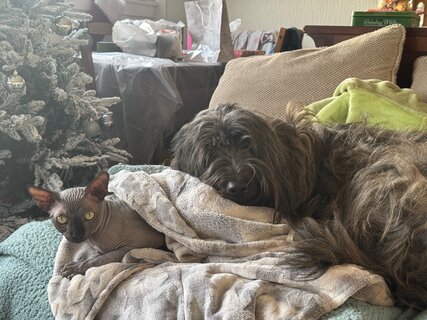 IMG_1277.jpeg
