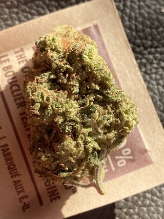 IMG_2946.jpeg IMG_2946.jpeg