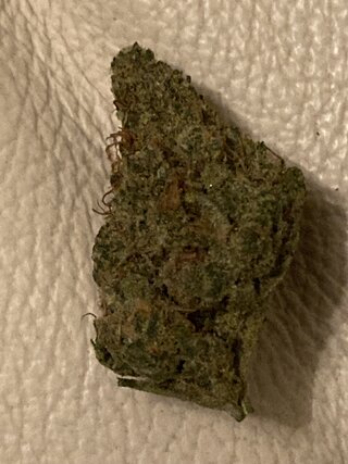 IMG_2949.jpeg