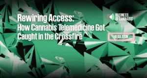 Cash-Companies-Cannabis-8-300x160.webp