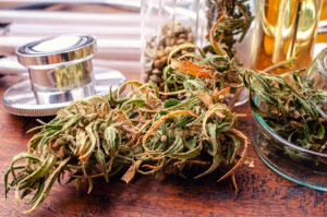 icine-cbd-oil-medicine-industry-greenhouse-300x199.jpg