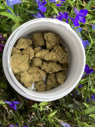 IMG_2967.jpeg