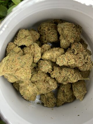 IMG_2968.jpeg
