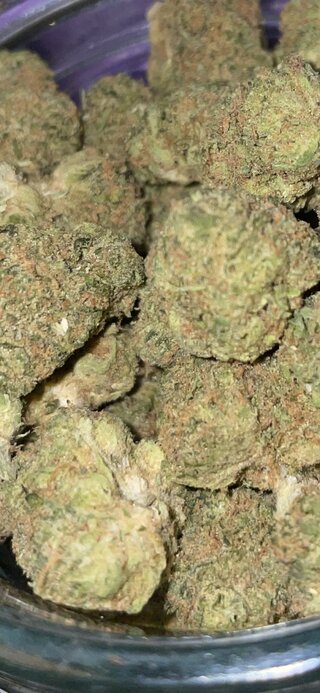 IMG_1510.jpeg