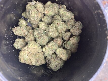 IMG_2989.jpeg