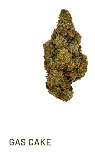 Screenshot_19-11-2025_172815_ostaramedical.com.jpeg