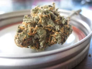 Medical Cannabis Flower, depicting greater access across the US