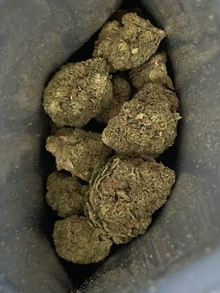 IMG_2999.jpeg