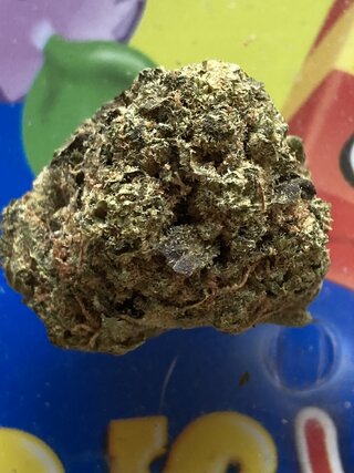 IMG_2997.jpeg