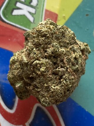 IMG_2998.jpeg