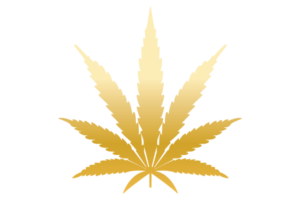 Cannabiz_Leaf_Gold_Gradient-300x200.png