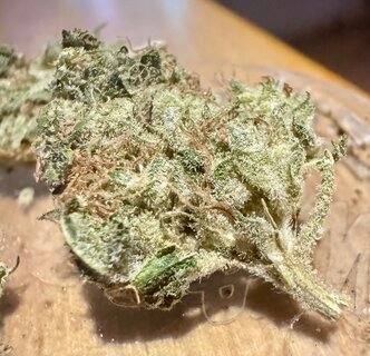 IMG_7061.jpeg