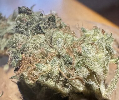 IMG_7060.jpeg