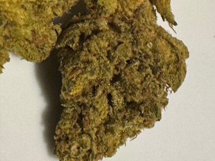 IMG_7087.jpeg