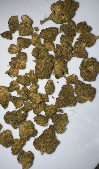 IMG_7079.jpeg
