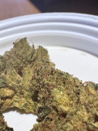 IMG_7064.jpeg