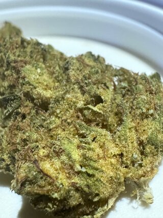 IMG_7063.jpeg