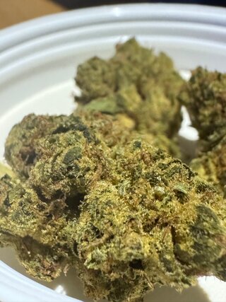 IMG_7062.jpeg