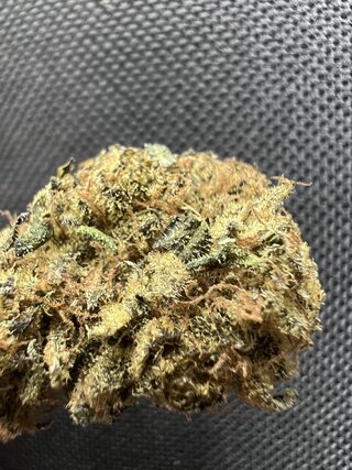 IMG_3544.jpeg