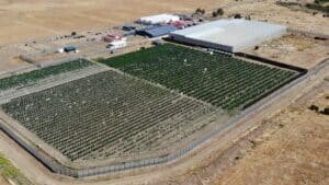 TasBot-Arial-View-300x169.jpg TasBot-Arial-View-300x169.jpg