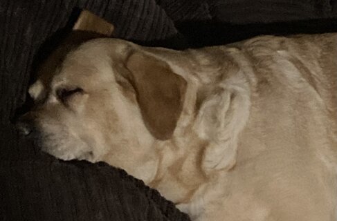 IMG_3015.jpeg