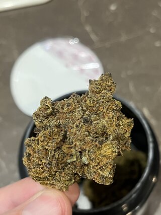 IMG_9639.jpeg