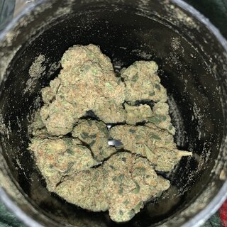 IMG_7124.jpeg