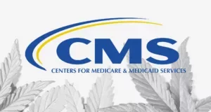 Cash-Companies-Cannabis-30-300x160.webp