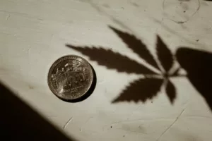 Cannabis leaf next to money, signifying financial struggles of cannabis businesses
