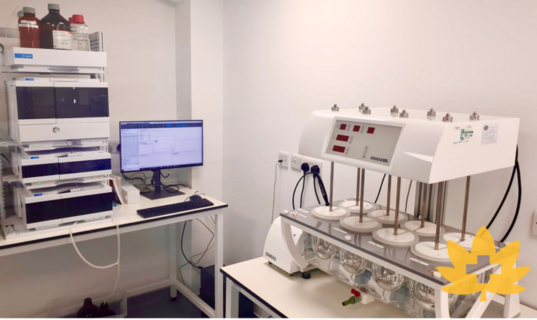 113-Analytical-laboratory-area-1024x611.png