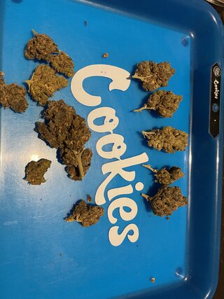 IMG_1556.jpeg
