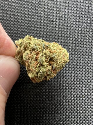 IMG_3809.jpeg