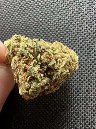 IMG_3810.jpeg