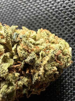 IMG_3812.jpeg