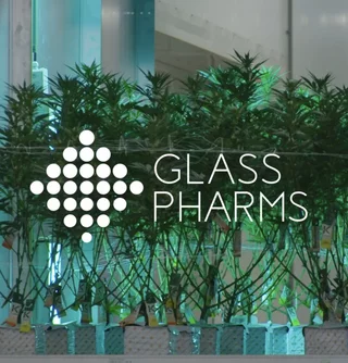 Glass Pharms is the first UK-based cultivator to launch products domestically.