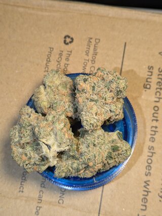 PXL_20251217_093905965.jpg