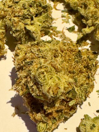 IMG_7170.jpeg