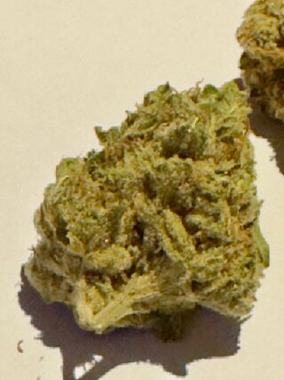 IMG_7167.jpeg