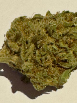 IMG_7166.jpeg
