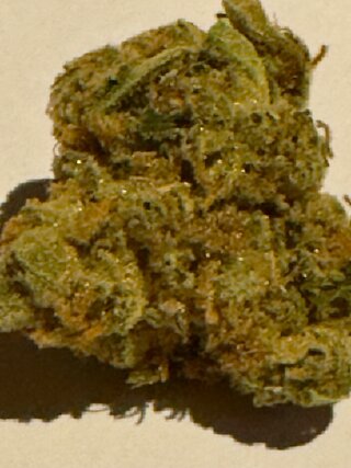 IMG_7165.jpeg