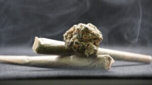 Cannabis-joint-2-300x169.jpg Cannabis-joint-2-300x169.jpg