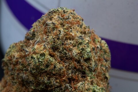 BlackJelly-8.jpg