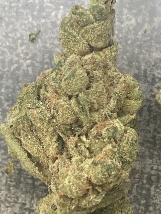 IMG_3045.jpeg
