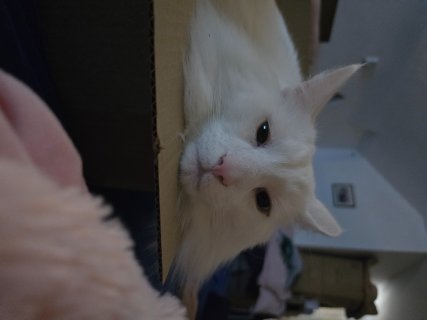 20251224_174835.jpg