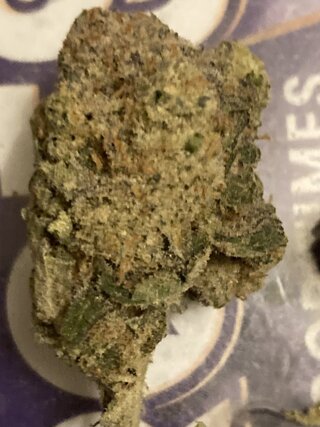 IMG_3062.jpeg