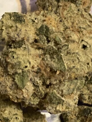 IMG_3061.jpeg
